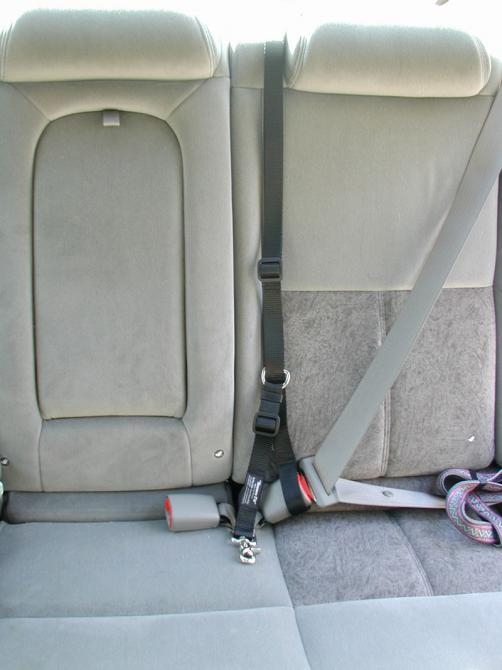 Seat  Belts